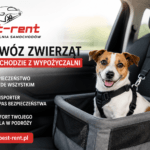Przewóz zwierząt wynajętym samochodem