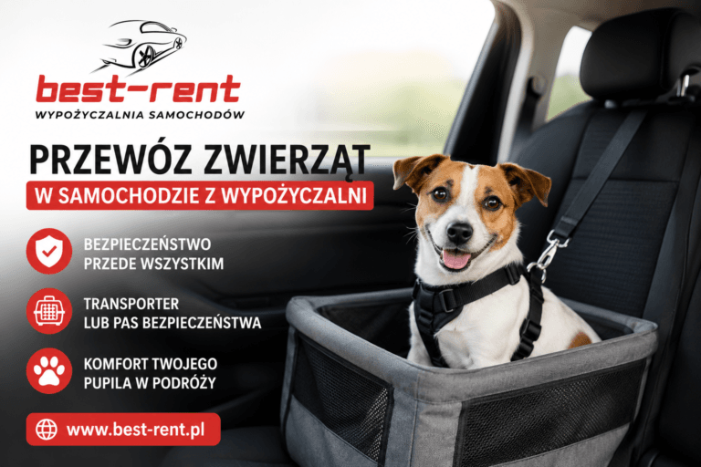Przewóz zwierząt wynajętym samochodem